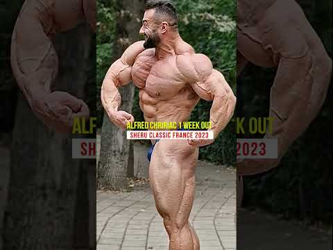 Insane Muscles quality of Alfred Chiriac 1 week out of Sheru Classic 2023 #bodybuilding #fitness