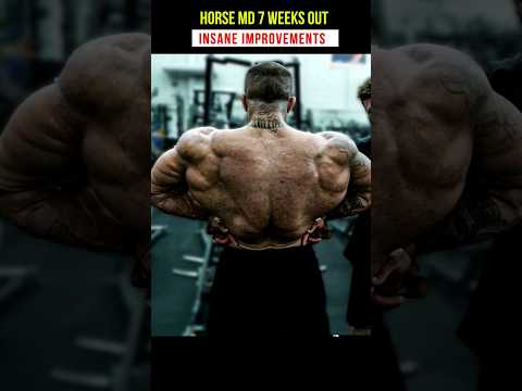 Brazilian bodybuilding star Horse Md looks very impressive 7 weeks out of His Pro debut #fitness
