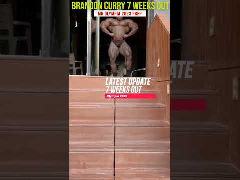 BRANDON CURRY 7 WEEKS OUT OF OLYMPIA 2023 ? CAN HE WIN ? #SHORTS #bodybuilding #fitness