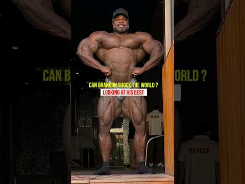 Can Brandon Curry shock the Bodybuilding world in 4 weeks at Mr Olympia 2023 #bodybuilding #gym