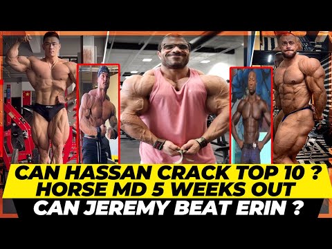 Hassan Mostafa 4 weeks out + Brandon reacts to Erin’s Loss + Branch 13 days out + Horse Md + Jeremy
