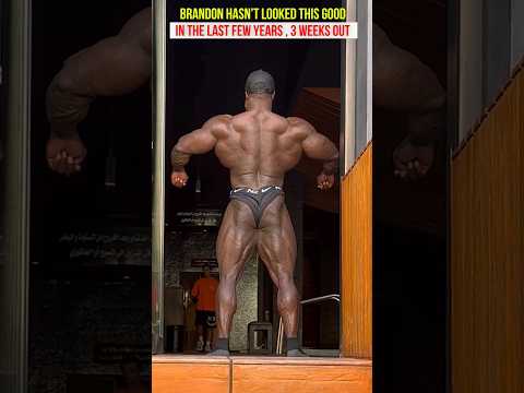 Brandon Curry at his best 3 weeks out of Mr Olympia 2023 , Can he crack top 3 ? #bodybuilding #gym