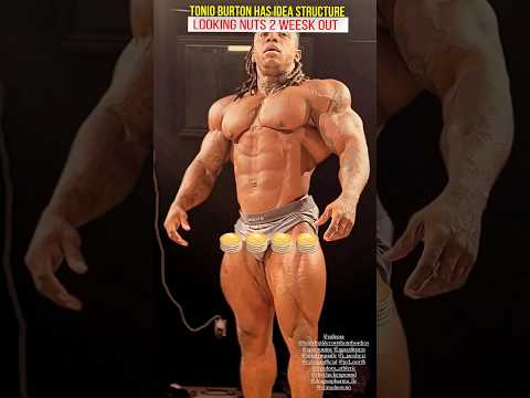 A little more mass on Tonio & he is gonna be so dangerous , 2 weeks out of mr Olympia 2023 #fitness