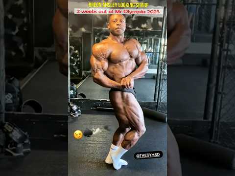 Did Breon Ansley made the right call of staying in classic ? #bodybuilding #fitness #mrolympia #gym