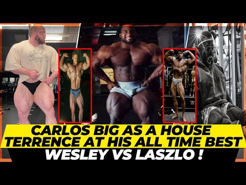Carlos Thomas big as a house+Terrence in a condition of his lifetime +Wesley vs Laszlo +James +Breon