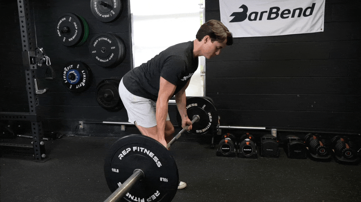 reverse-grip-bent-over-row-barbend-movement-gif-masters.gif