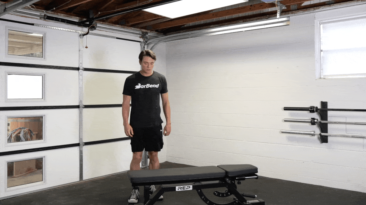 step-up-with-weight-bench-barbend-movement-gif-masters.gif