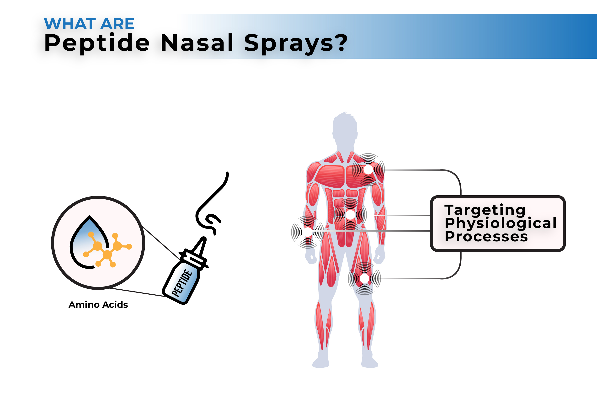 Peptide Nasal Sprays: A New Path To Health and Wellness