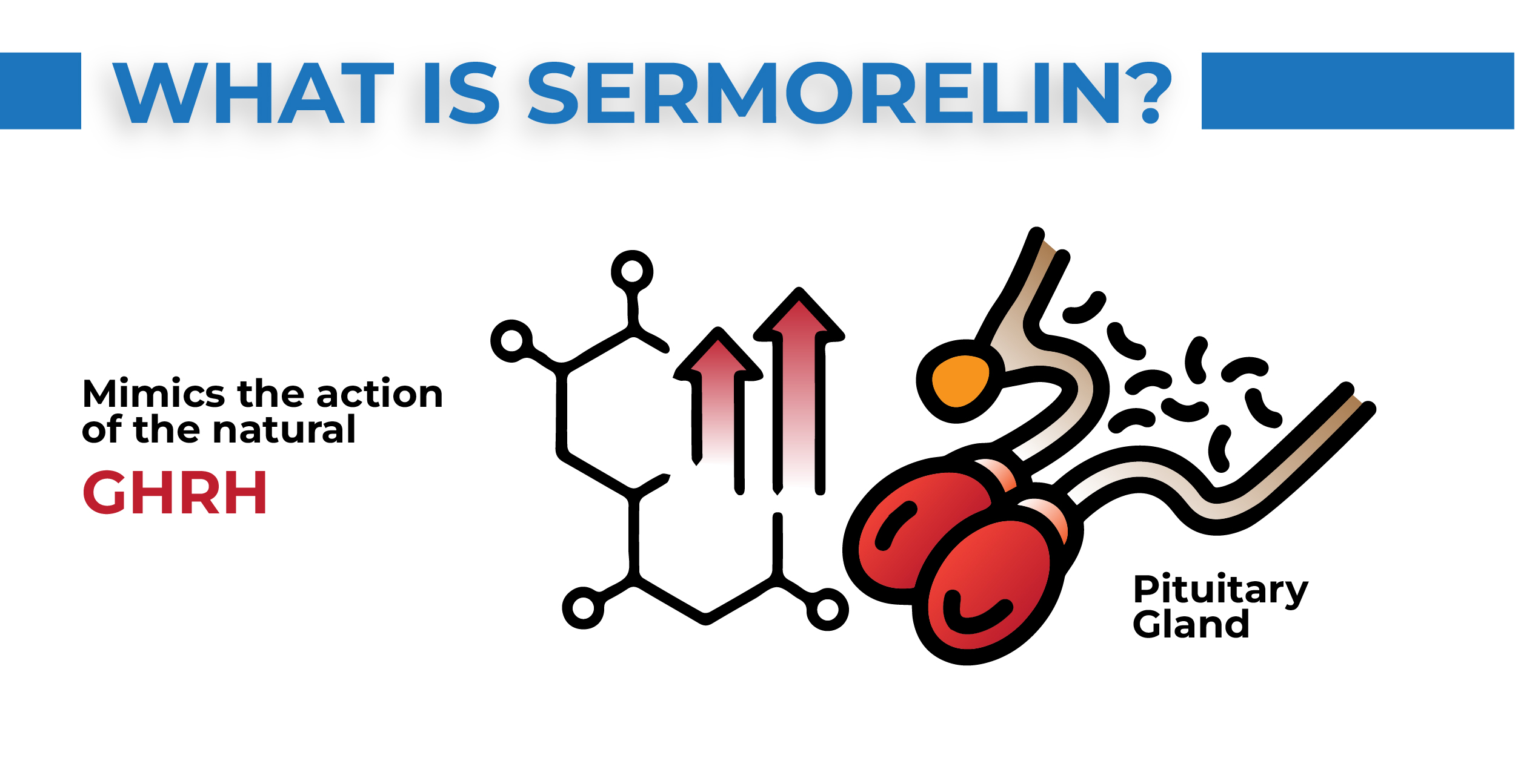What is Sermorelin