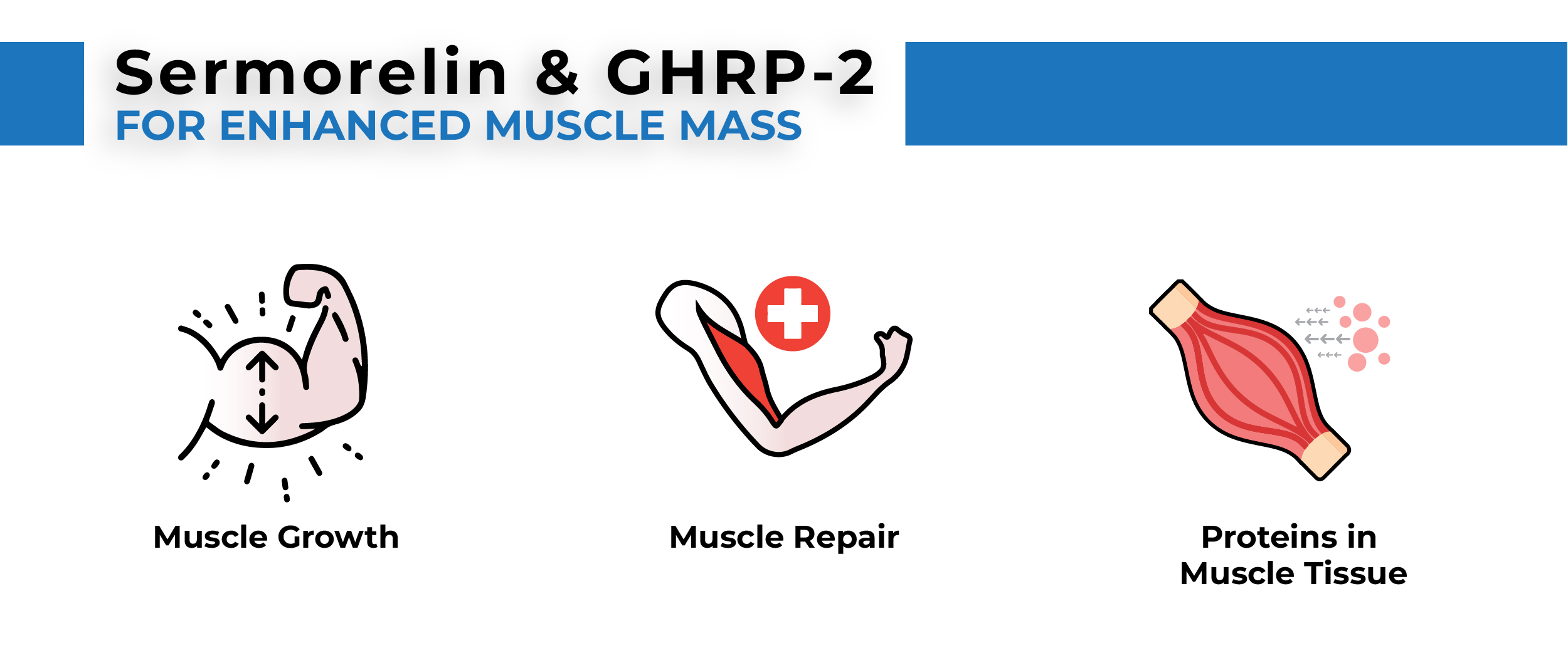 Sermorelin GHRP 2 Stack for Enhanced Muscle Mass