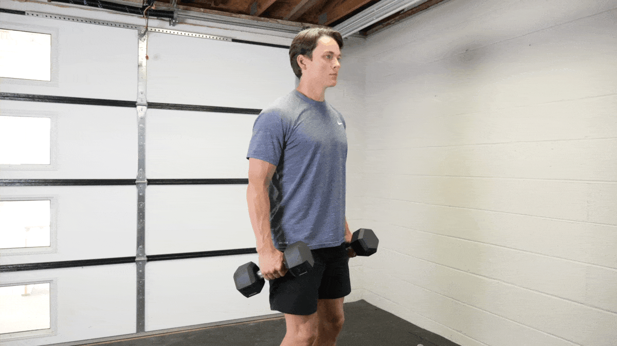 hammer-curl-barbend-movement-gif-masters.gif
