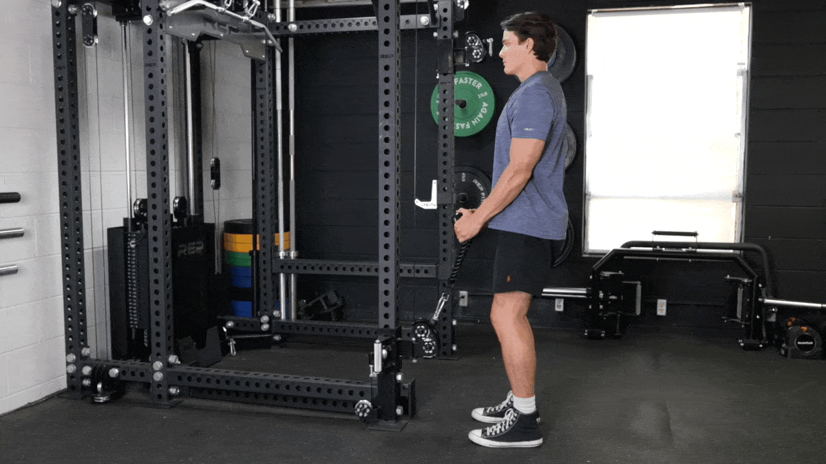 rope-hammer-curl-barbend-movement-gif-masters.gif