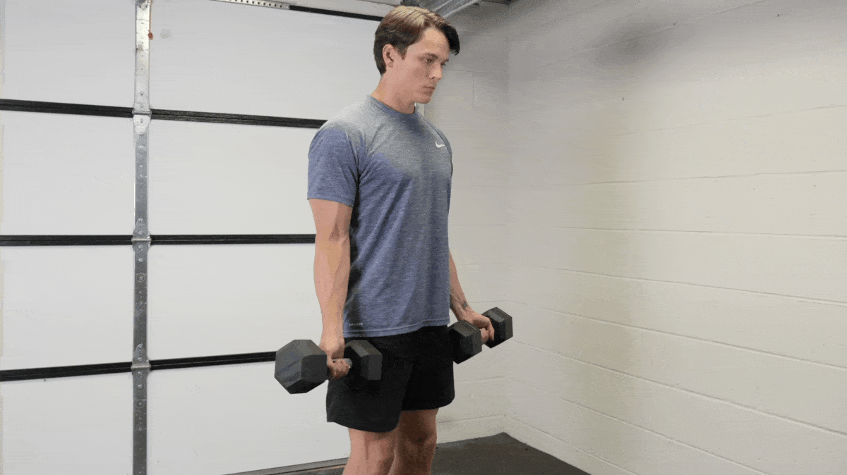 dumbbell-curl-barbend-movement-gif-masters.gif