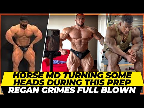 Horse Md turning a lot of heads in the Arnold 2024 prep +Neckzilla still awaiting Visa +Regan Grimes