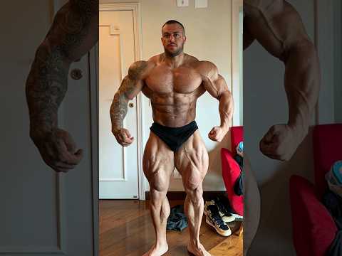 Horse Md is looking Nastay 2024