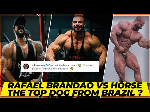Rafael Brandao vs Horse Md , Who is the top dog from Brazil ? Not an ounce of water on James
