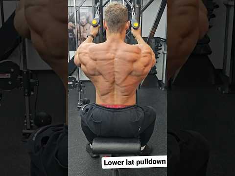 Wesley Vissers’s back has came up the most , 12 days out of Arnold looking diced