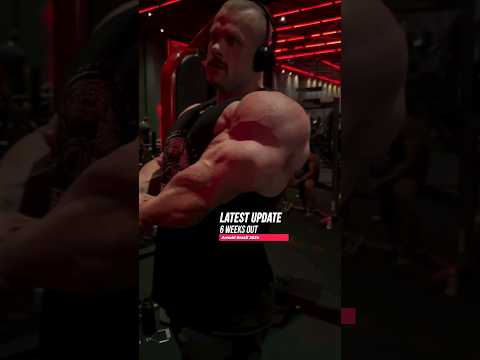 William Martins , one of the biggest bodybuilder in open bodybuilding 6 weeks out of Arnold Brazik