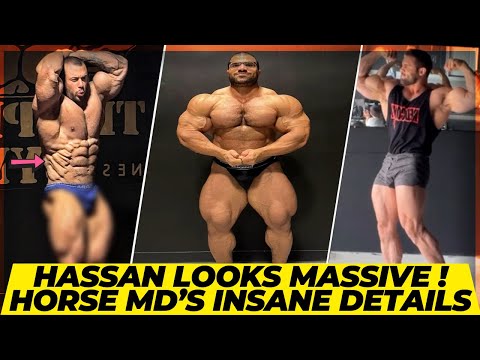 Horse Md in Hadi Choopan like conditioning ?+ Hassan Mostafa looks massive + Logan Franklin’s Plan
