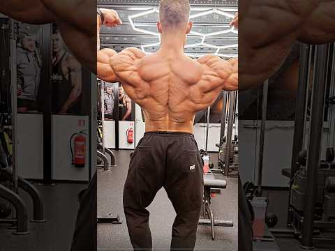 Wesley Vissers 6 days out update,  Arnold classic UK 2024