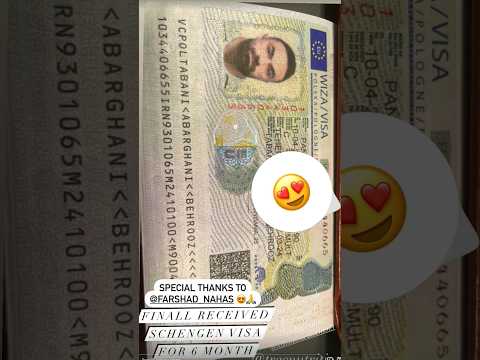 Behrouz Tabani finally gets the Visa