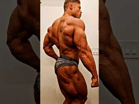 Wesley Vissers, The reigning Arnold Classic champion isnt skipping a beat , 2 weeks out update